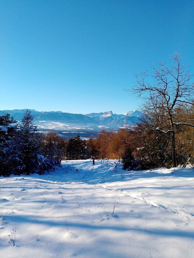 Extérieur en hiver