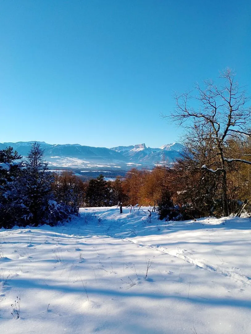 Le Mont Aiguille enneigé vu depuis un plateau du Trièves, sous un ciel bleu